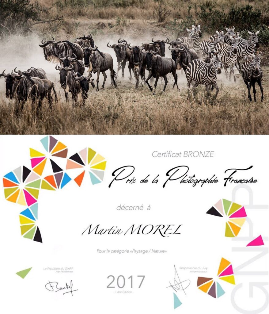 Médaille de Bronze et diplôme du Prix de la Photographie Française 2017
