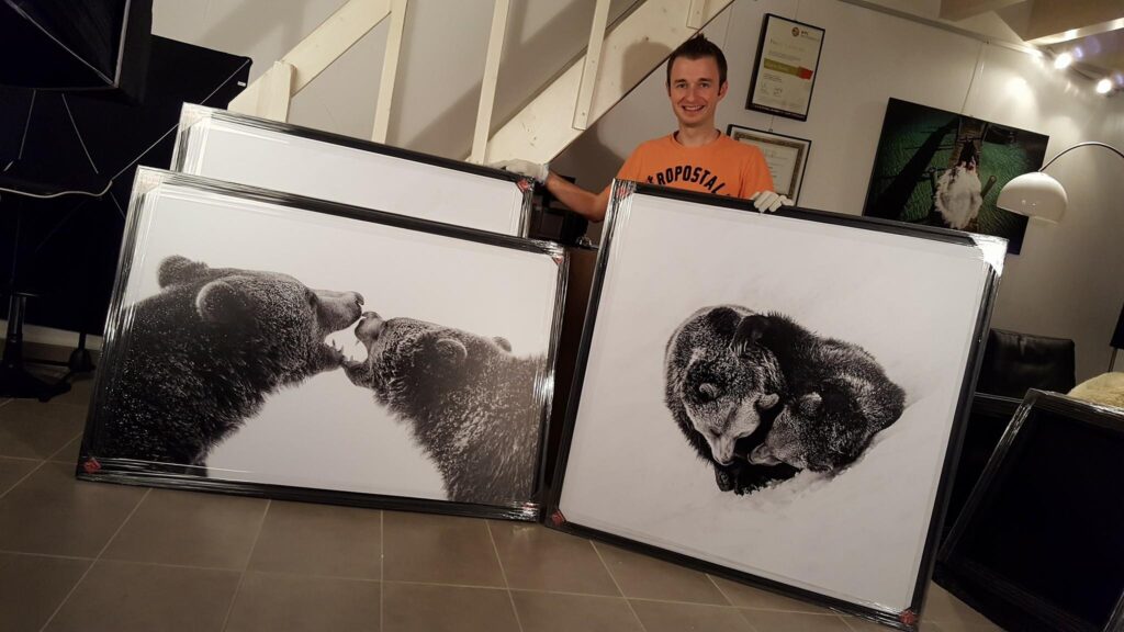 Tirage photo grand format d'un ours dans la neige, décoration intérieure