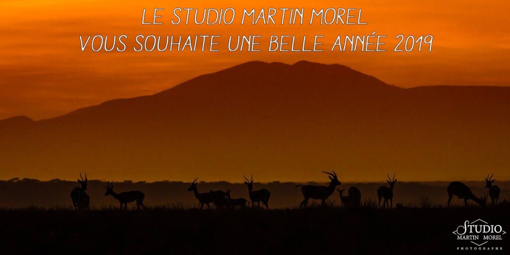 Meilleurs vœux 2019, Martin Morel photographe